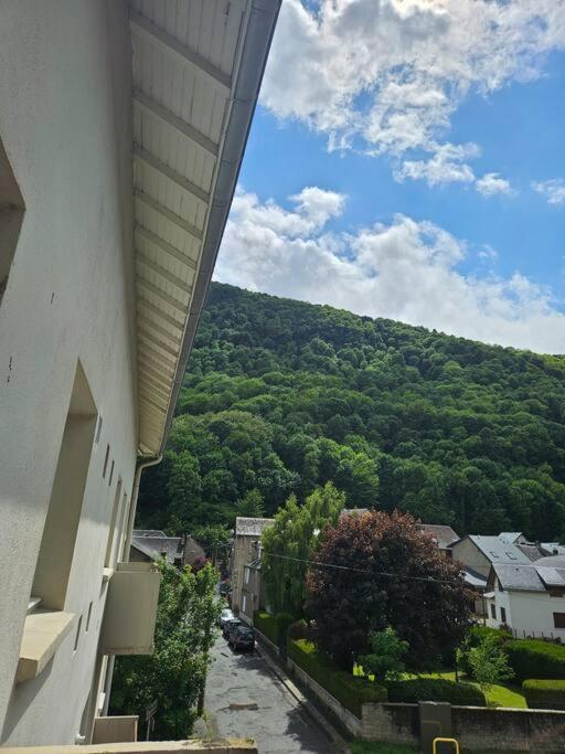 Chez Louise, Appartement T3 A Deux Pas Du Centre Bagneres-de-Luchon ภายนอก รูปภาพ